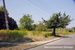 T00666 - zdjęcie nr 3