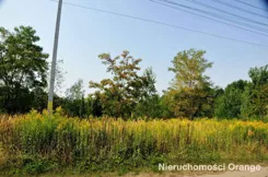 T00666 - zdjęcie nr 4