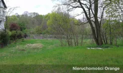 T45189 - zdjęcie nr 3