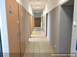 T07794 - zdjęcie nr 4