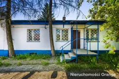 T04306 - zdjęcie nr 3
