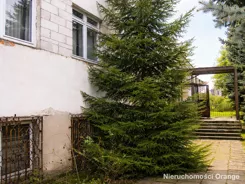 T05565 - zdjęcie nr 3