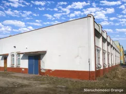 T03329 - zdjęcie nr 3