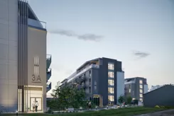 Zielona Przystań - zdjęcie nr 5