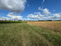 204/7250/OGS - zdjęcie nr 3
