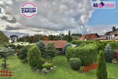AG555163 - zdjęcie nr 1