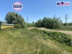 AG997847 - zdjęcie nr 0