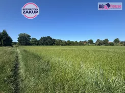 AG997089 - zdjęcie nr 3