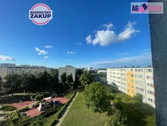 AG453013 - zdjęcie nr 4