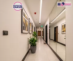 AG240187 - zdjęcie nr 3