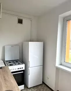 12659 - zdjęcie nr 3