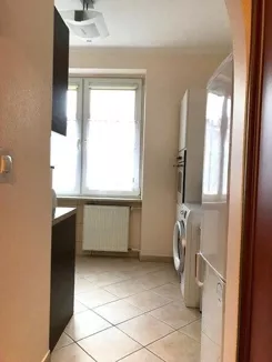 12313 - zdjęcie nr 4