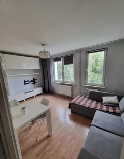 12537 - zdjęcie nr 2