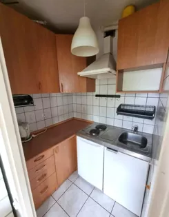 12537 - zdjęcie nr 3