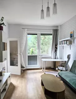 12613 - zdjęcie nr 2