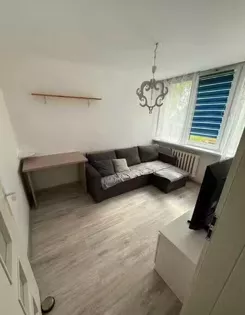 12556 - zdjęcie nr 1