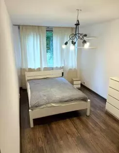 12556 - zdjęcie nr 3