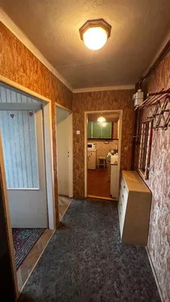 12398 - zdjęcie nr 3