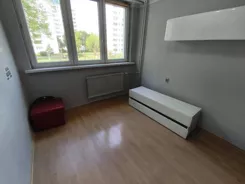 12058 - zdjęcie nr 2