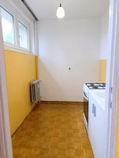 12459 - zdjęcie nr 2