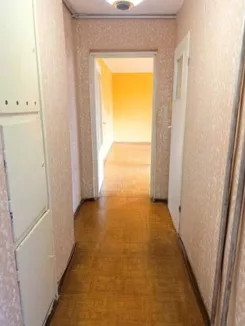 12459 - zdjęcie nr 3
