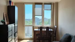 12452 - zdjęcie nr 0