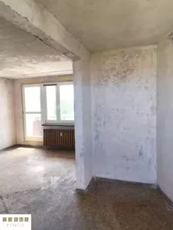12390 - zdjęcie nr 3