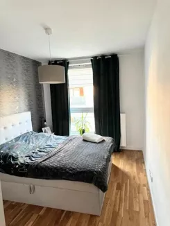 12523 - zdjęcie nr 3