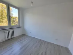 12726 - zdjęcie nr 2