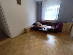 12569 - zdjęcie nr 0