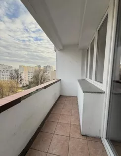 11840 - zdjęcie nr 4