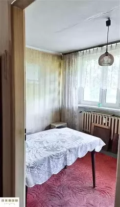12143 - zdjęcie nr 4
