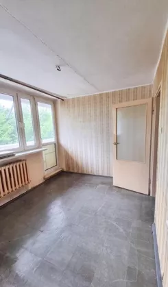 12521 - zdjęcie nr 1