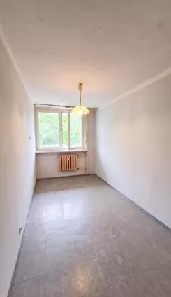 12521 - zdjęcie nr 3
