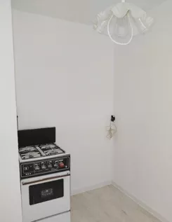 12549 - zdjęcie nr 3