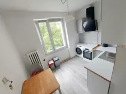 12731 - zdjęcie nr 2