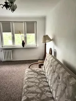 12886 - zdjęcie nr 0