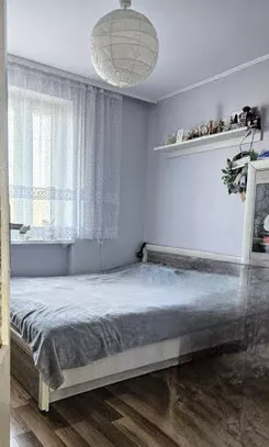 12405 - zdjęcie nr 3