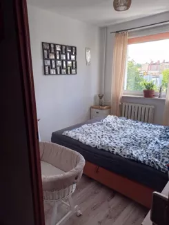 12461 - zdjęcie nr 4