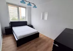 11790 - zdjęcie nr 2