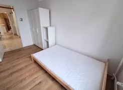 11790 - zdjęcie nr 4