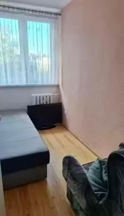 12666 - zdjęcie nr 2
