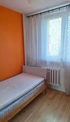 12666 - zdjęcie nr 3