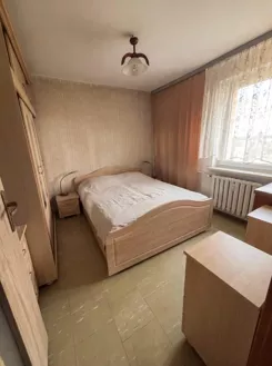 12655 - zdjęcie nr 2