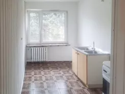 12209 - zdjęcie nr 1