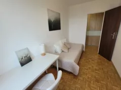 12512 - zdjęcie nr 2
