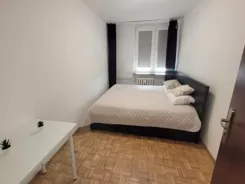 12512 - zdjęcie nr 4