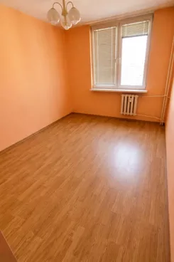 11997 - zdjęcie nr 0
