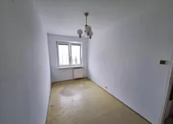 12594 - zdjęcie nr 3