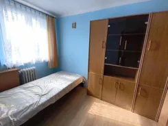11719 - zdjęcie nr 2